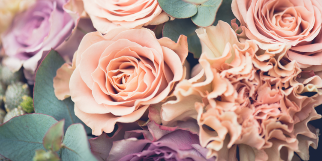 12 Flowers & What they Mean