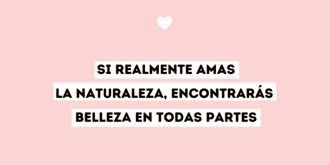Día 28 | El Significado Espiritual de las Rocas en Forma de Corazón
