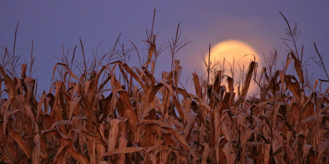 4 ways to celebrate the Autumnal Equinox around the world