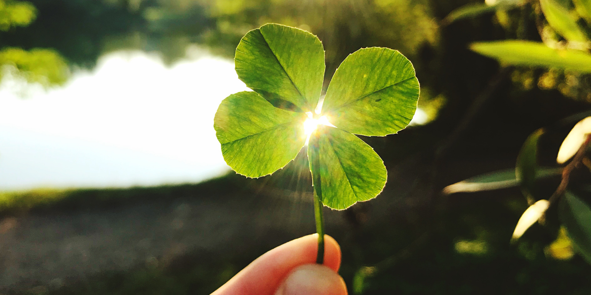 A four-leaf clover